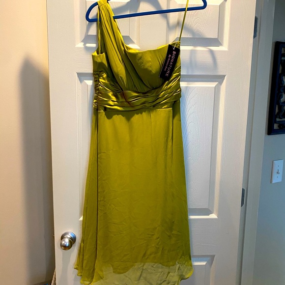 Signature by Robbie Bee Dresses & Skirts - NWT green one shoulder silk dress